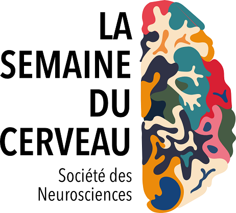 Illustration de la section - 